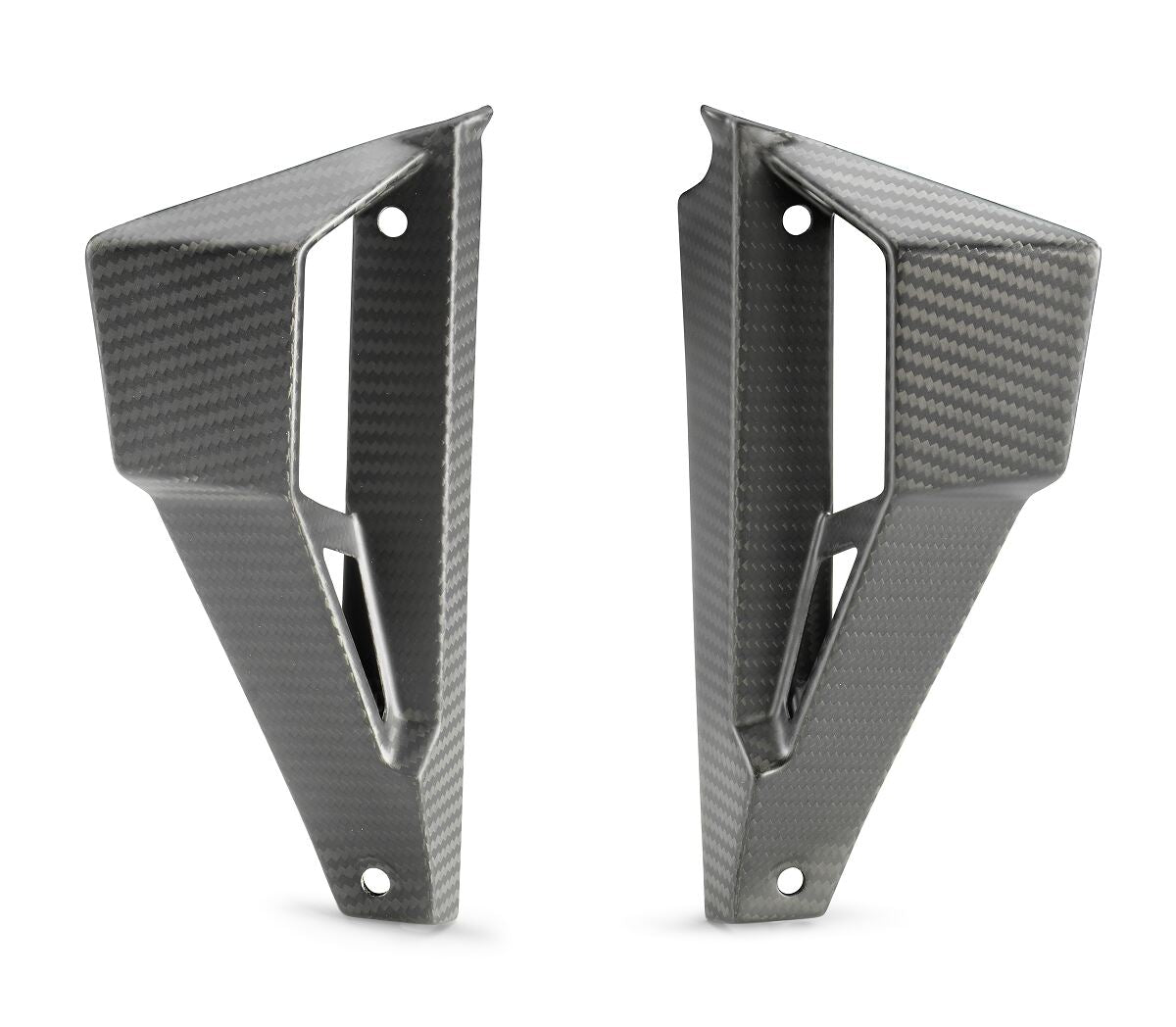 Winglet carbon kit