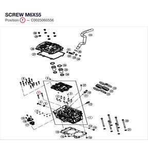 SCREW M6X55 product image