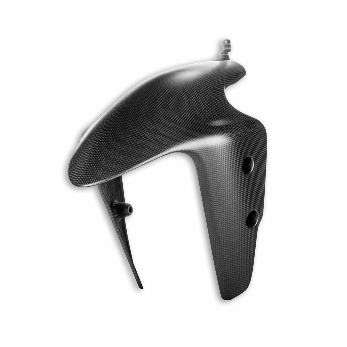 Carbon front mudguard (SUPERSPORT)