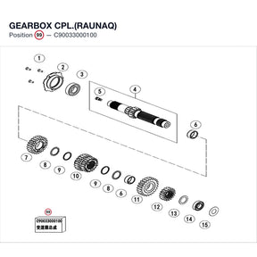 GEARBOX CPL.(RAUNAQ) product image