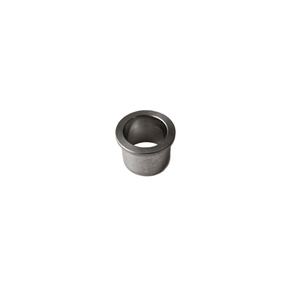 Eshaust flap bushing