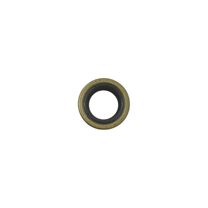 SHAFT SEAL RING 17X28X6B NBR