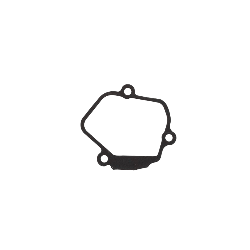 Exhaust ctrl cover gasket rhs