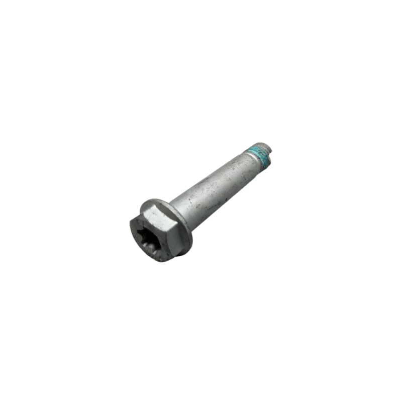 HH collar screw M10x52 WS13