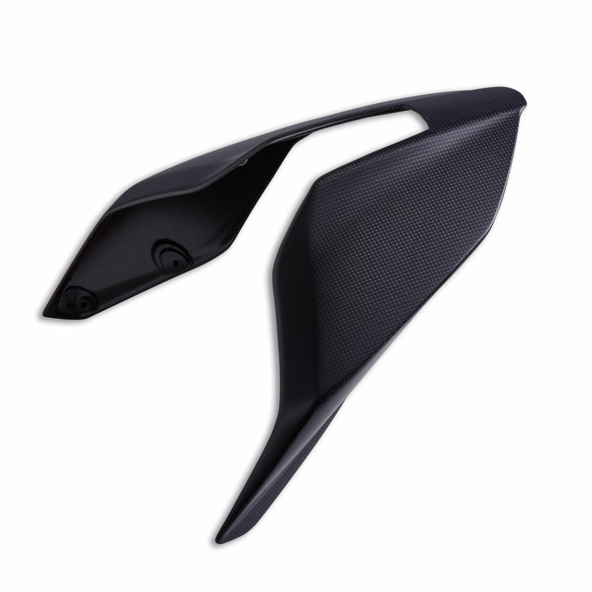 Carbon single-seater tail guard