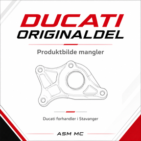 Ducati originaldel 91371471P – OWNER'S MANUAL
