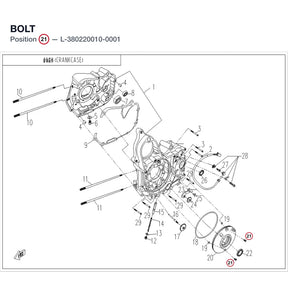 BOLT product image