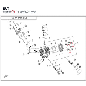 NUT product image
