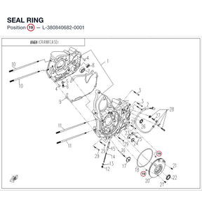 SEAL RING product image