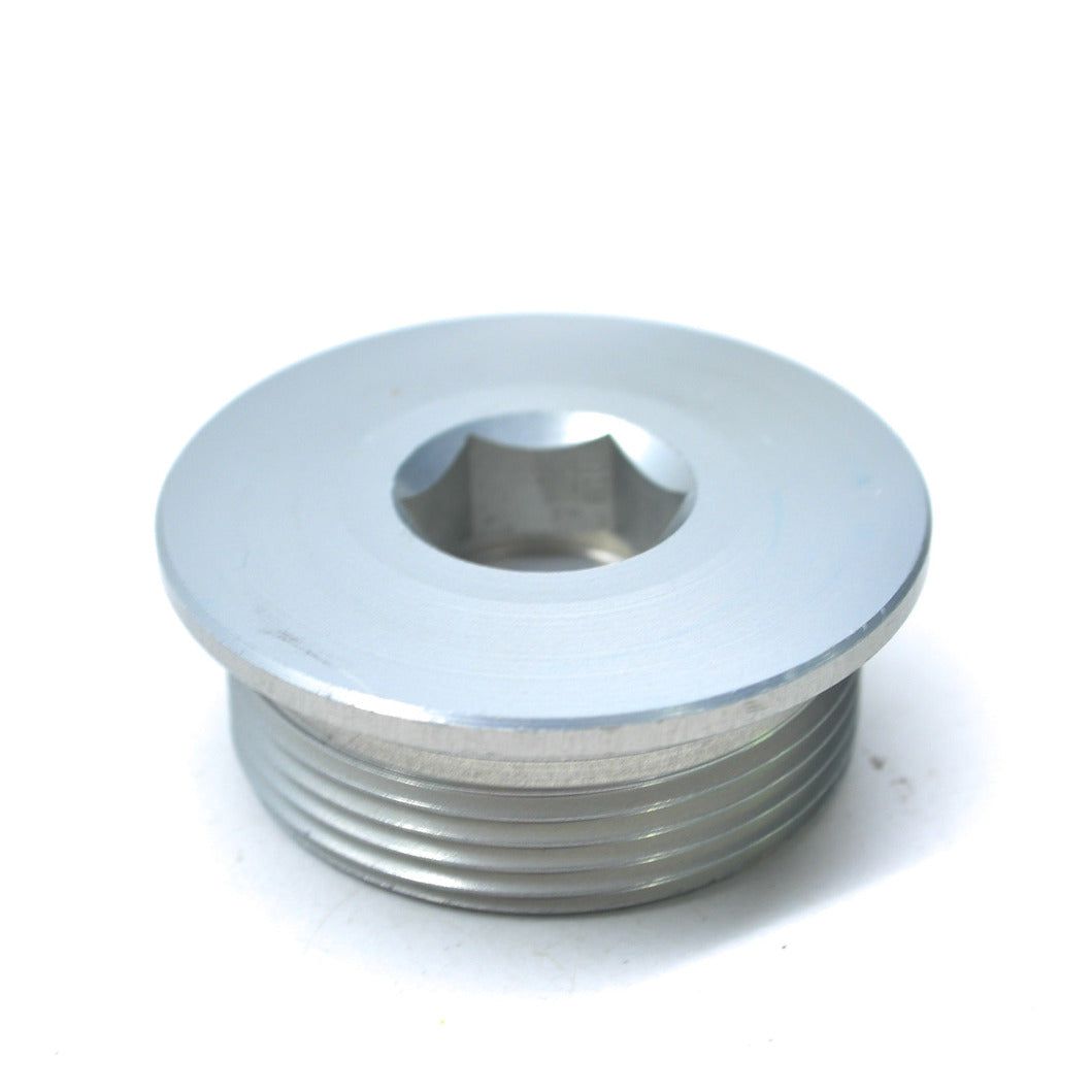 PLUG SCREW