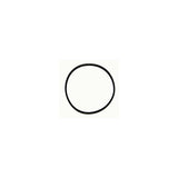 O-RING  76,00X2,00  VITON