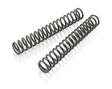 MAIN SPRING (43.8) 4.6-450 FORK CPL.