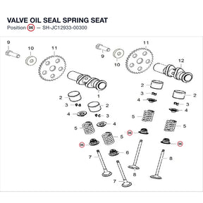 VALVE OIL SEAL SPRING SEAT product image