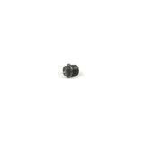 SCREW PLUG M17