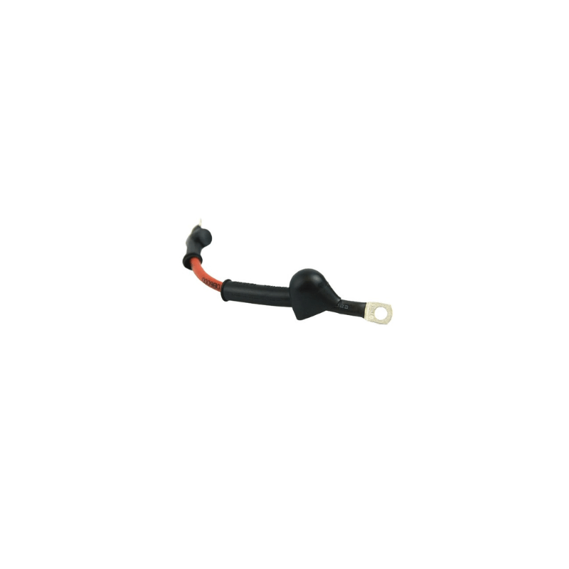 WIRING HARNESS BATTERY DUKE'99