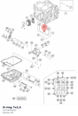 Diagram preview: O-ring 7x2,5 (C0770070025)