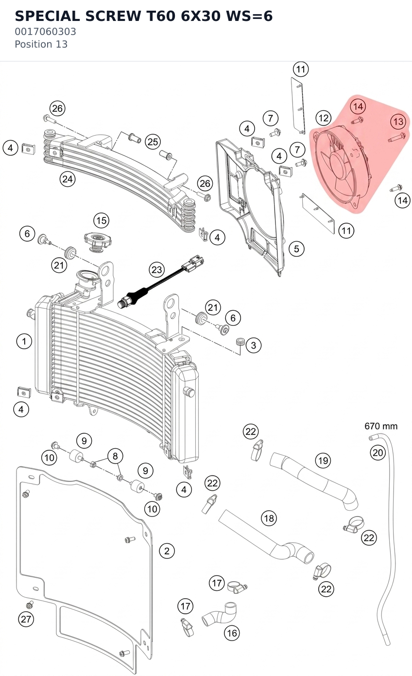 Diagram preview: SPECIAL SCREW T60 6X30 WS=6 (0017060303)