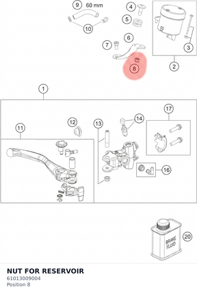 Diagram preview: NUT FOR RESERVOIR (61013009004)
