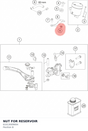 Diagram preview: NUT FOR RESERVOIR (61013009004)