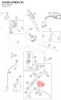 Diagram preview: LEVER SCREW CPL. (61302038000)