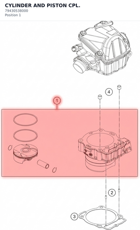 Diagram preview: CYLINDER AND PISTON CPL. (79430538000)