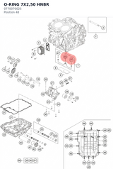 Diagram preview: O-RING 7X2,50 HNBR (0770070025)