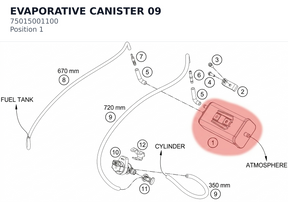 Diagram preview: EVAPORATIVE CANISTER        09 (75015001100)