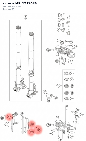 Diagram preview: screrw M5x17 ISA30 (C0900000501701)