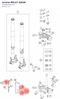 Diagram preview: screrw M5x17 ISA30 (C0900000501701)