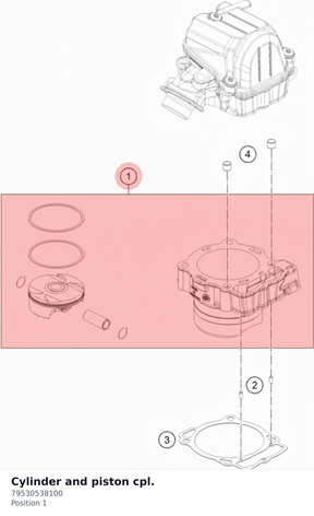 Diagram preview: Cylinder and piston cpl. (79530538100)