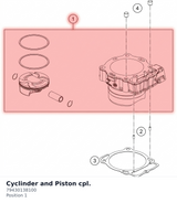 Diagram preview: Cyclinder and Piston cpl. (79430138100)