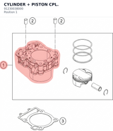 Diagram preview: CYLINDER + PISTON CPL. (91230038000)
