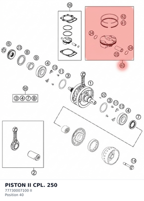 Diagram preview: PISTON II CPL. 250 (77730007100 II)