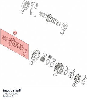Diagram preview: input shaft (79533001000)