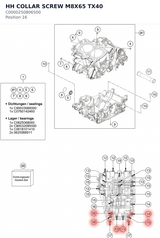 Diagram preview: HH COLLAR SCREW M8X65 TX40 (C0000250806500)