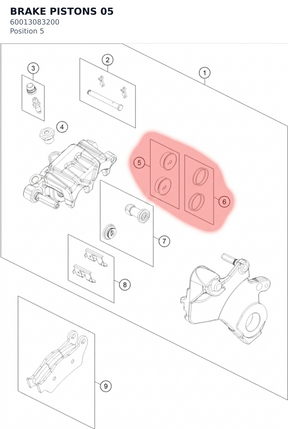 Diagram preview: BRAKE PISTONS 05 (60013083200)