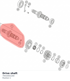 Diagram preview: Drive shaft (79433001200)