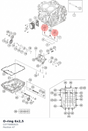 Diagram preview: O-ring 6x2,5 (C0770060025)