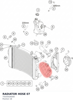 Diagram preview: RADIATOR HOSE               07 (75035026000)