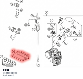 Diagram preview: ECU (61341031100)