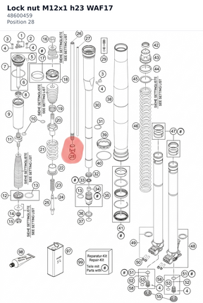 Diagram preview: Lock nut M12x1 h23 WAF17 (48600459)