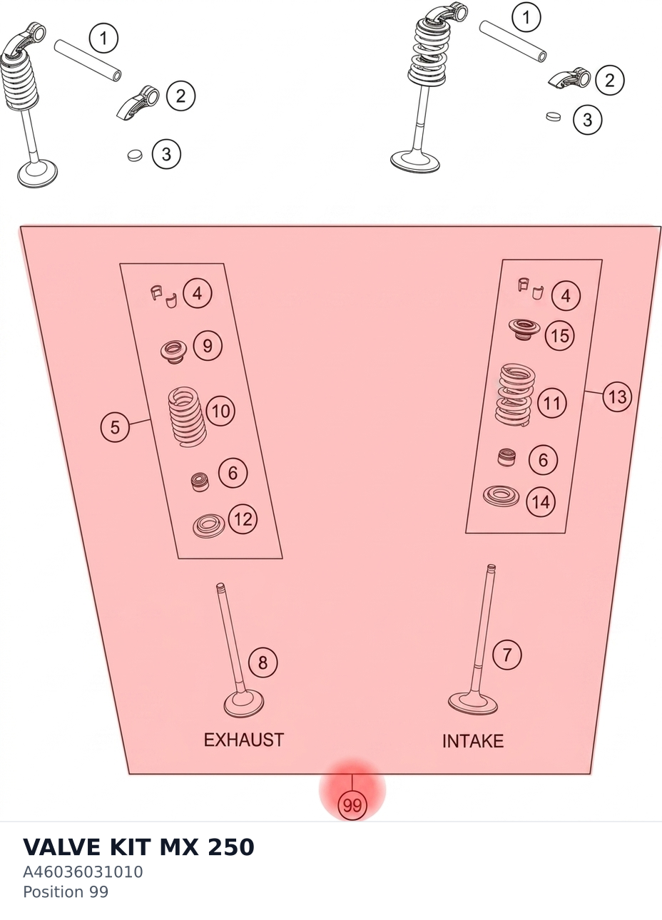 Diagram preview: VALVE KIT MX 250 (A46036031010)