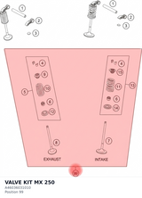 Diagram preview: VALVE KIT MX 250 (A46036031010)