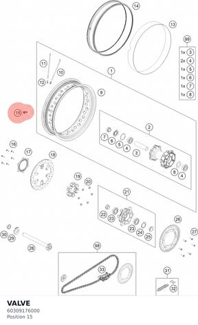Diagram preview: VALVE (60309176000)