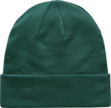 Alpinestars Augment Cuff Beanie Grønn