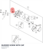 Diagram preview: BLEEDER SCREW WITH CAP (61013020200)
