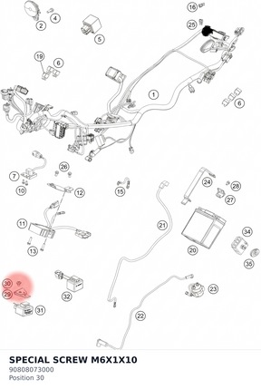 Diagram preview: SPECIAL SCREW M6X1X10 (90808073000)