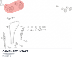 Diagram preview: CAMSHAFT INTAKE (79036009000)