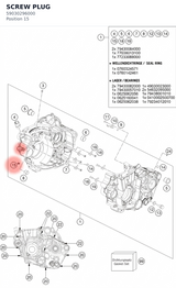 Diagram preview: SCREW PLUG (59030296000)
