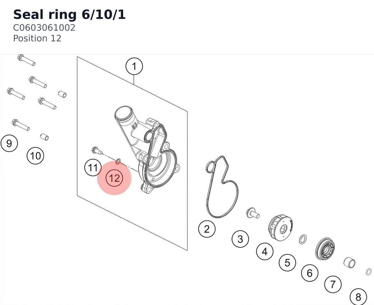 Diagram preview: Seal ring 6/10/1 (C0603061002)